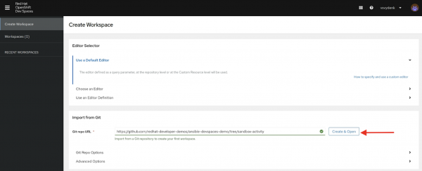 Put the repository in the Git Repo URL field and select Create and Open.