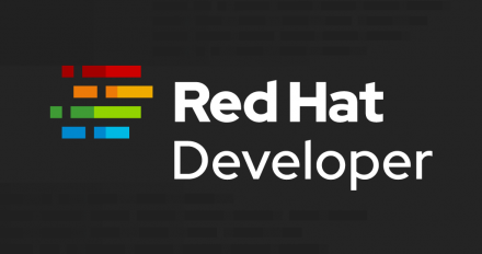 Developer logo
