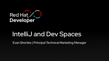 IntelliJ and Dev Spaces